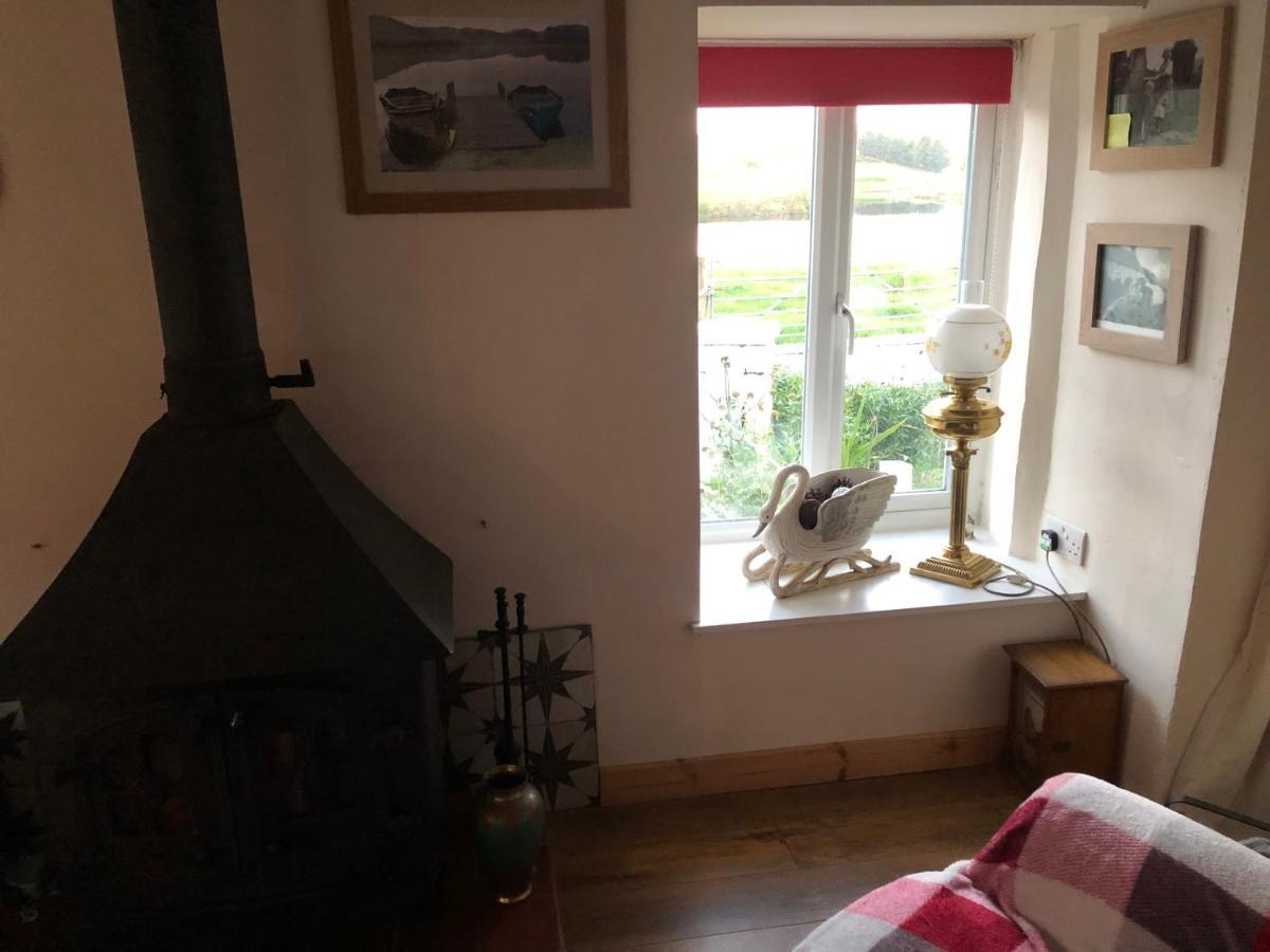 Lake View Romantic Retreat Aberystwyth Exteriör bild